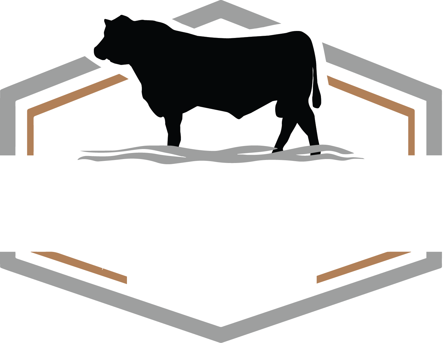 Poppe Bulls